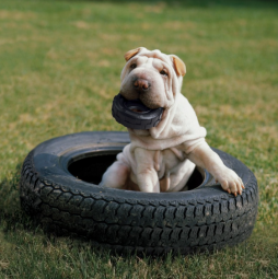 Kong Extreme Tyres S